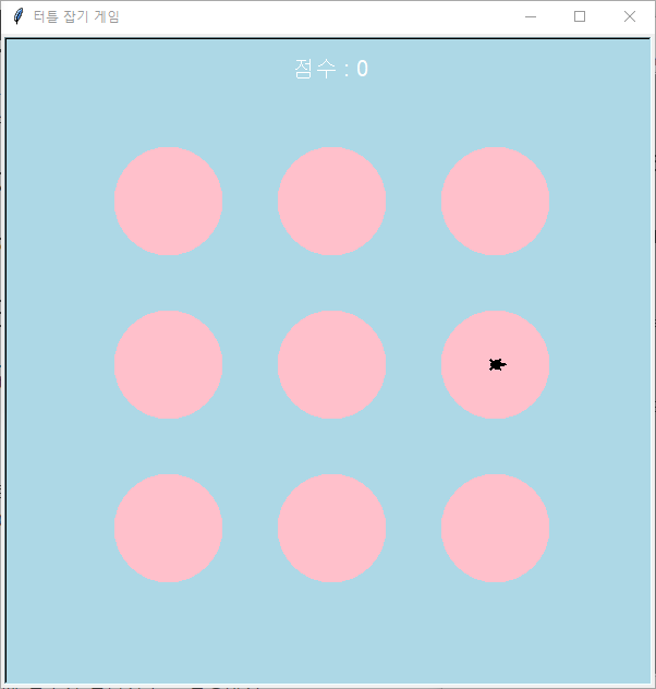 터틀 잡기 게임