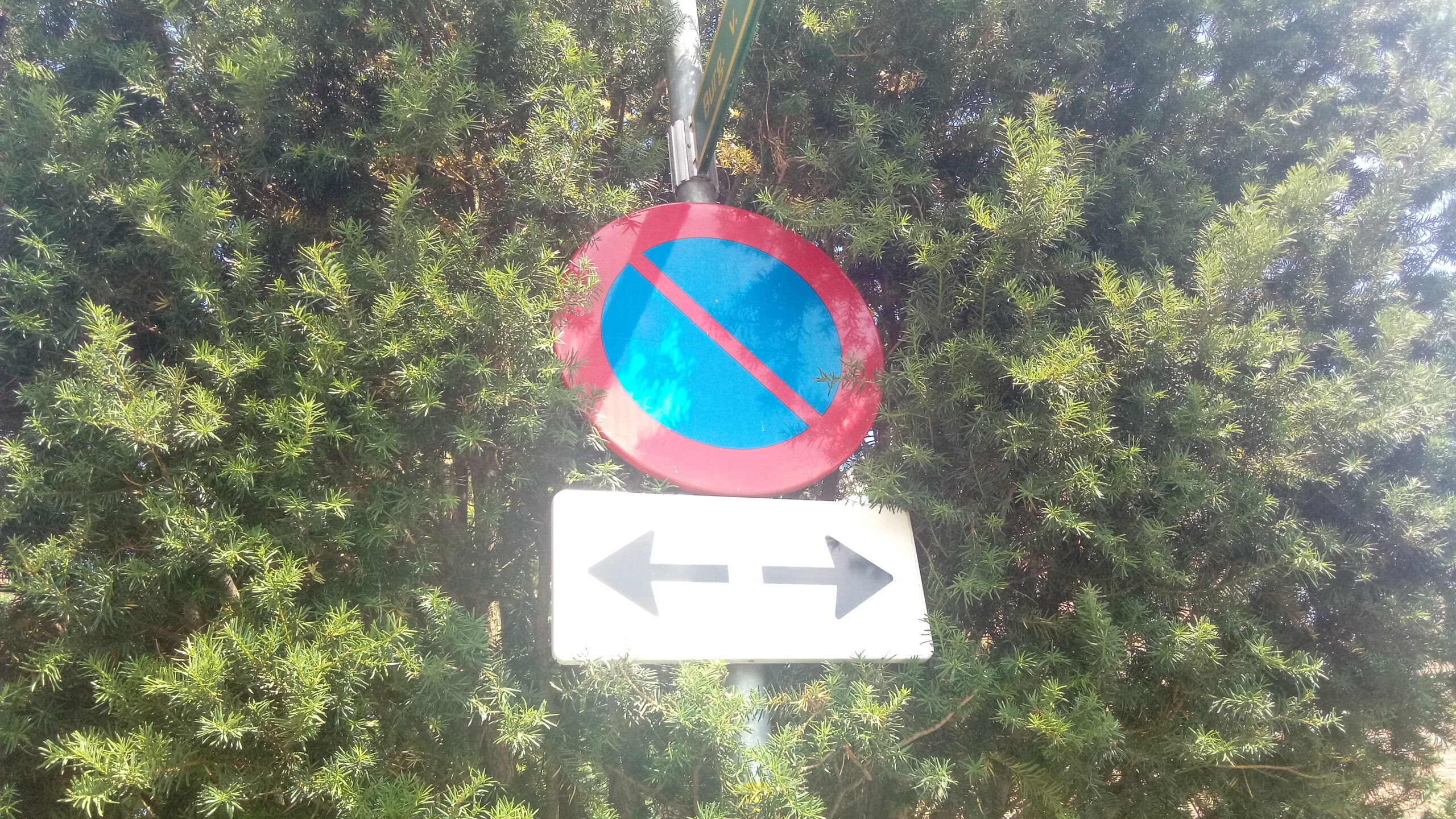 터틀 방향 함수 본문 이미지 2