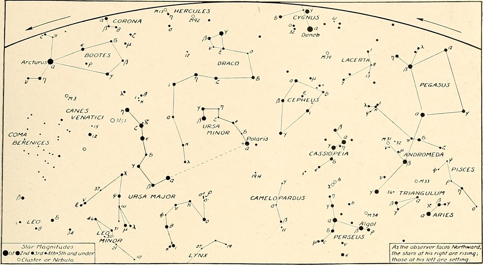터틀 별 그리기 본문 이미지 2