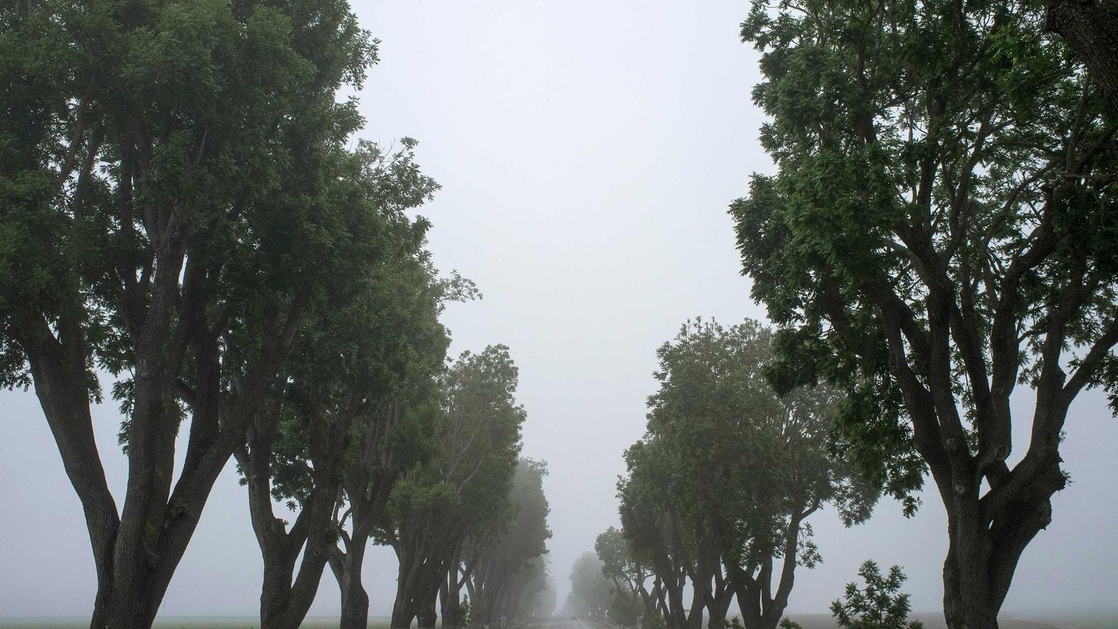 코드 편집과 파이썬 개발 장면